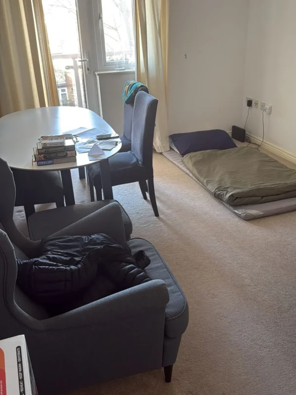 Living room tidy & vacuum