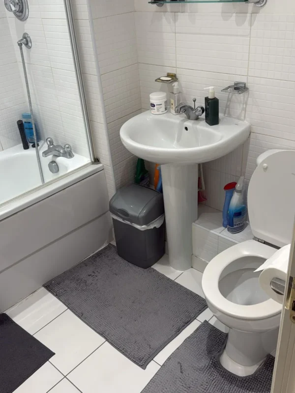 Bathroom suite sanitised