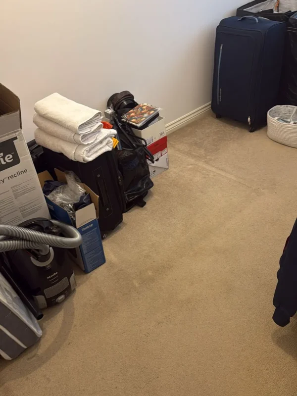 Carpet clean before move-in